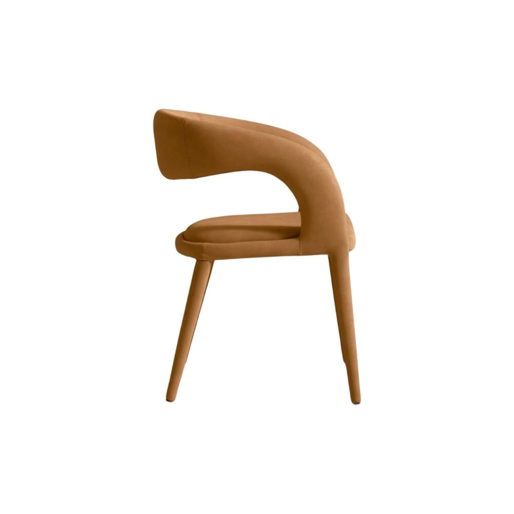 Hugo Genuine Leather Dining Chair - Image 3